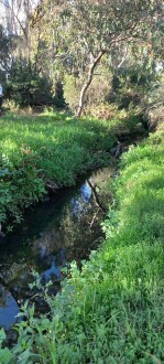 Stony Creek, Yarraville, downstream