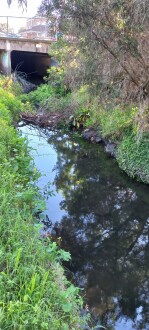 Stony Creek, Yarraville upstream