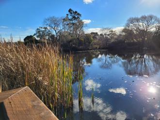 Jubilee Lake, Skipton. View from jetty used to sample water.