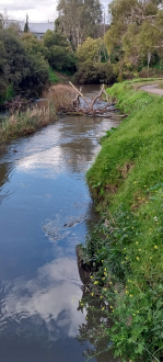 view from upstream- debris in main stream after flooding