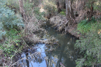 Upstream