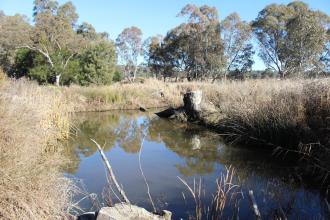 Down stream