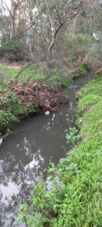 Stony Creek Yarraville, downstream