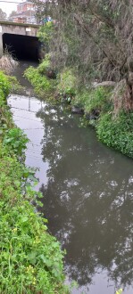 Stony Creek Yarraville, upstream