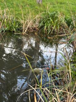 Elster Creek- with plastic too heavy to drag out