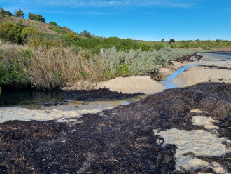 A sandbar diverted the creek stream exit into the bay in a westerly direction along the foreshore.