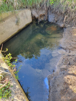 Pool, upstream. Drain below water surface.