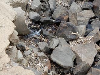 taken on 3/08/2024 showing the water flow under the ford at Yunah road sample site