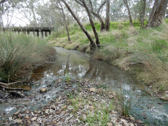 taken on 3/08/2024 showing green slime on the creek bed