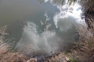 Site