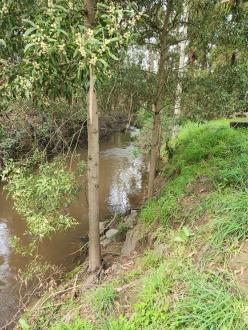 river facing east