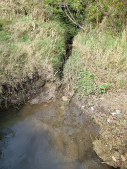 Coronae easment upstream view