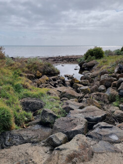 Coronae Dr easement downstream view