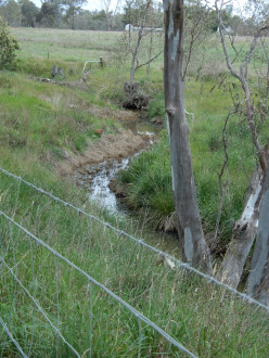 taken on 6/06/2024 showing channel 500m north of Stewarts lane