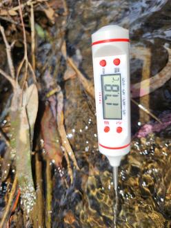 water temp