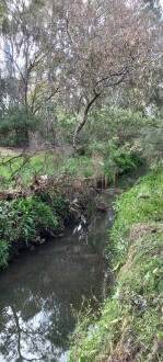 Stony Creek, Yarraville, downstream