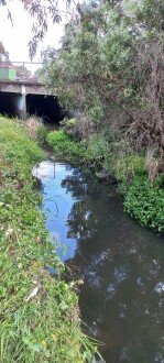 Stony Creek, Yarraville, upstream