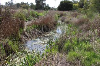 Upstream