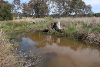 Down stream