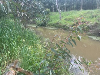 down Barwon river