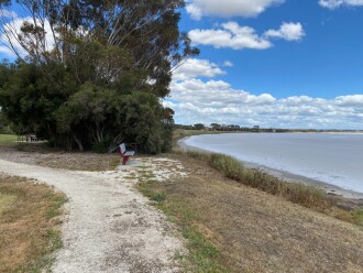 Lake very dry, 80% empty; a little water visible in the distance; lake surface grey silt with salt frust; appearacne grey under shadow and white in sunlight