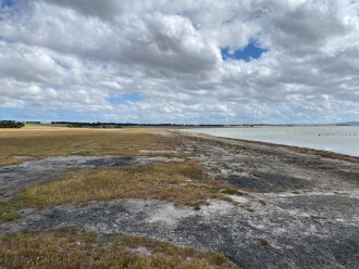 Very dry; water well down