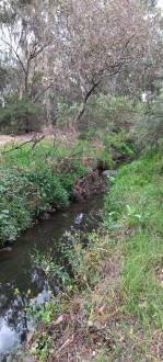 Stony Creek, Cruikshank Park, Yarraville downstream