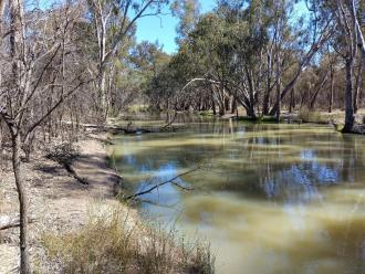 Site downstream