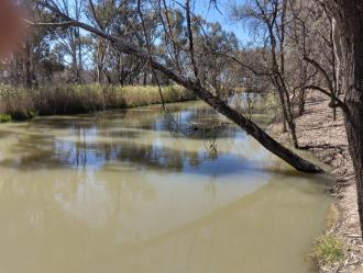 Site Upstream