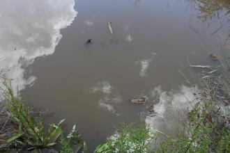 Site
