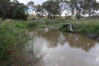 Down stream