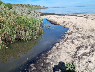 Griggs Creek, downstream into the bay