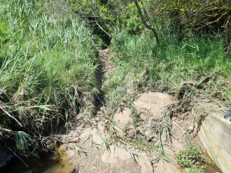 Creek, upstream