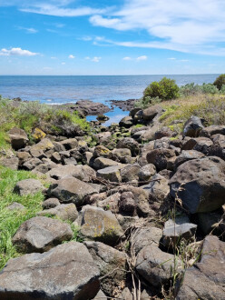 Creek, downstream into the bay