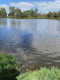 Looking south toward the weir