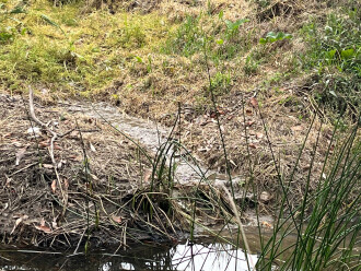 Close up of white liquid flowing into creek from pipe