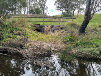 Upstream pipe outfall - trickle of murky white water flowing into creek.