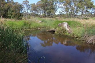 Down stream