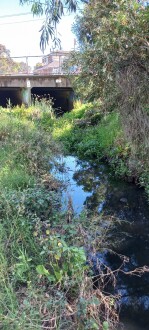 Stony Creek, Cruickshank Park Yarraville upstream