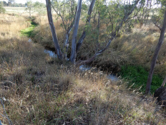 taken on 7/01/2025 showing channel 500m north of Stewarts Lane