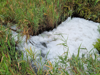 Froth and foam forming after heavy rain and strong waterflow in the creek creating turbulence.