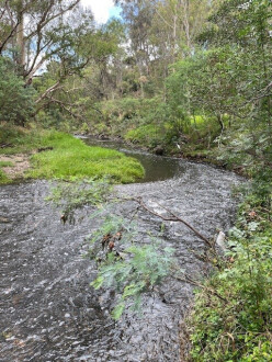 view downstream