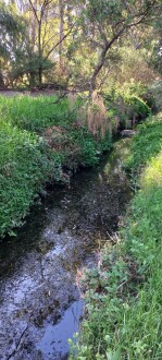 Stony Creek, Cruickshank Park Yarraville, downstream