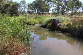 Down stream