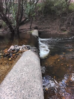 Sample collection area left side