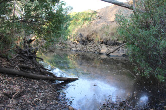 Pool further down stream