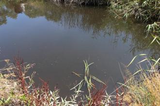 Site