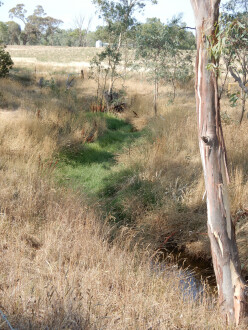 taken on 5/02/2025 looking at water in the channel 500m north of Stewarts Lane