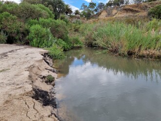 Griggs Creek sandbank