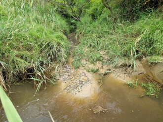 Coronae Dr sampling site, upstream